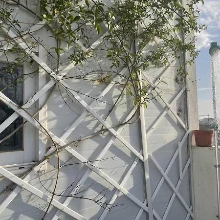 Mi Pequeno Atico Con Vistas *